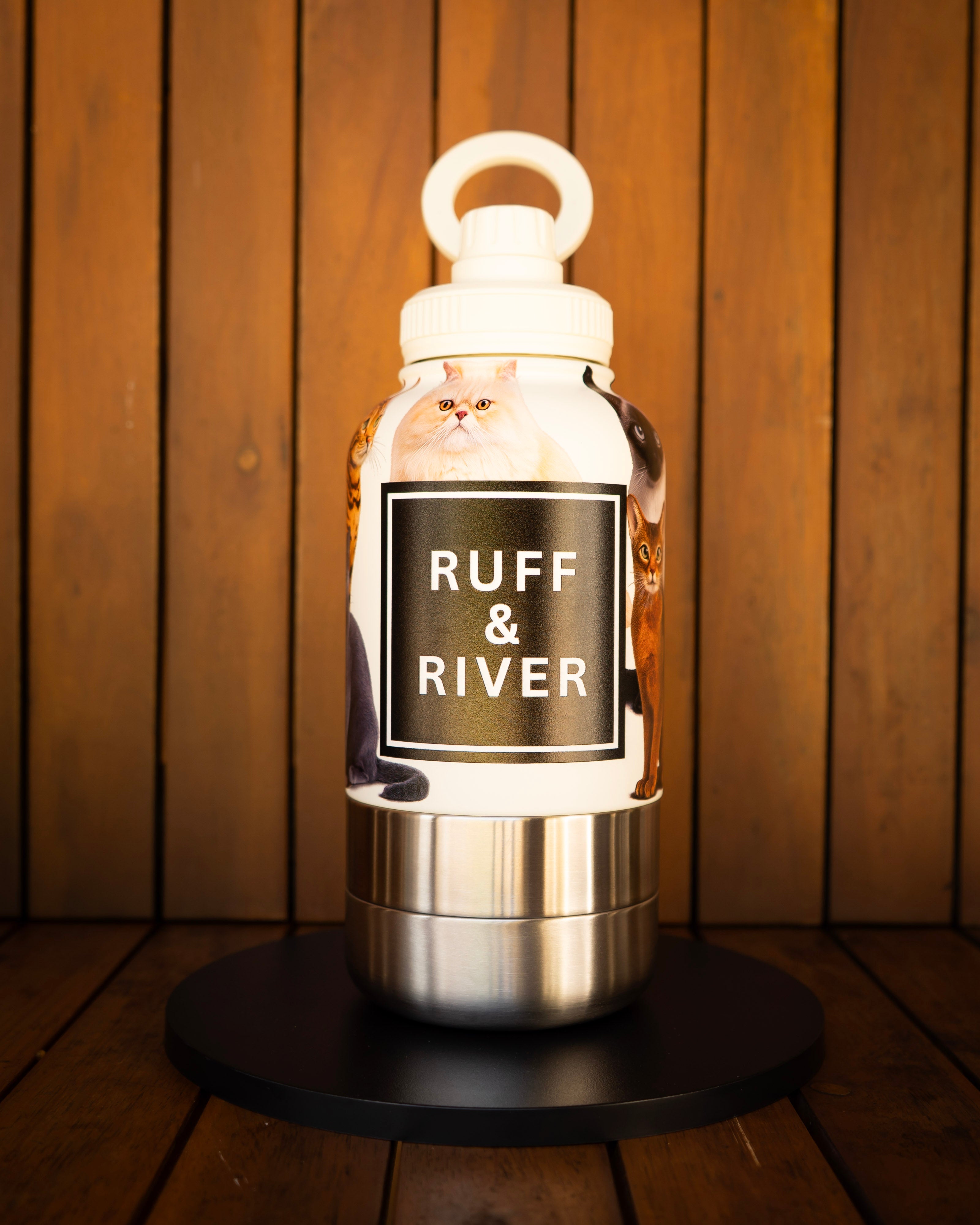 Purrfect Company™ – Cat Lover 4-in-1 Hydration Bottle