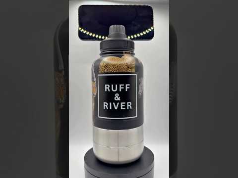 Safari Royale™ – African Safari 4-in-1 Hydration Bottle