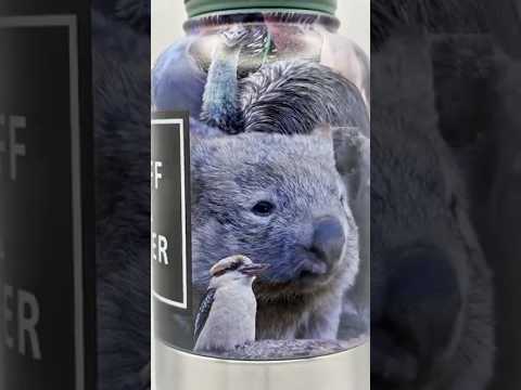 Outback Aussie Wildlife™ – Australian Wildlife 4-in-1 Hydration Bottle